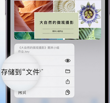 熊口管理区apple维修中心分享iPhone文件应用中存储和找到下载文件