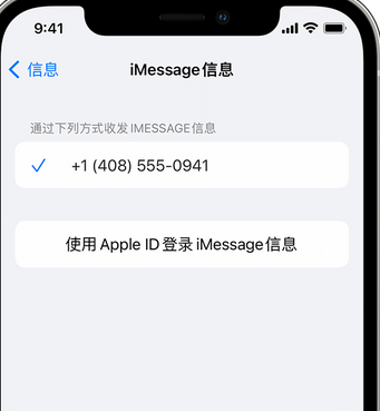 熊口管理区apple维修iPhone上无法正常发送iMessage信息 