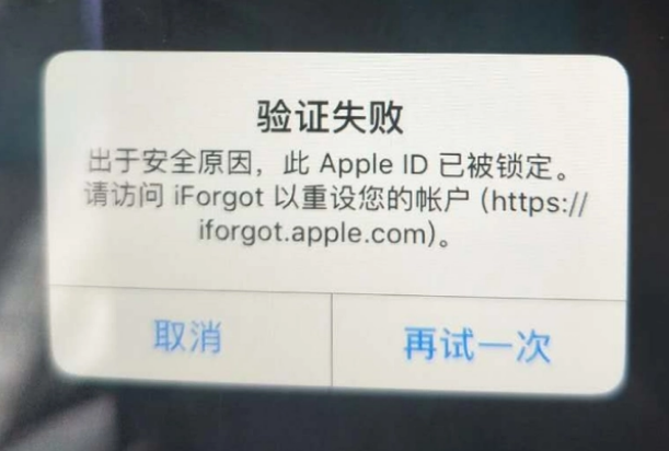 熊口管理区iPhone维修分享iPhone上正常登录或使用AppleID怎么办 