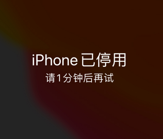 熊口管理区苹果手机维修分享:iPhone 显示“不可用”或“已停用”怎么办？还能保留数据吗？ 