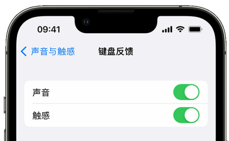 熊口管理区苹果手机维修分享iPhone 14触感键盘使用方法 