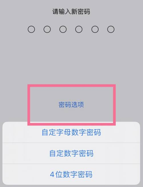 熊口管理区苹果14维修分享iPhone 14plus设置密码的方法 