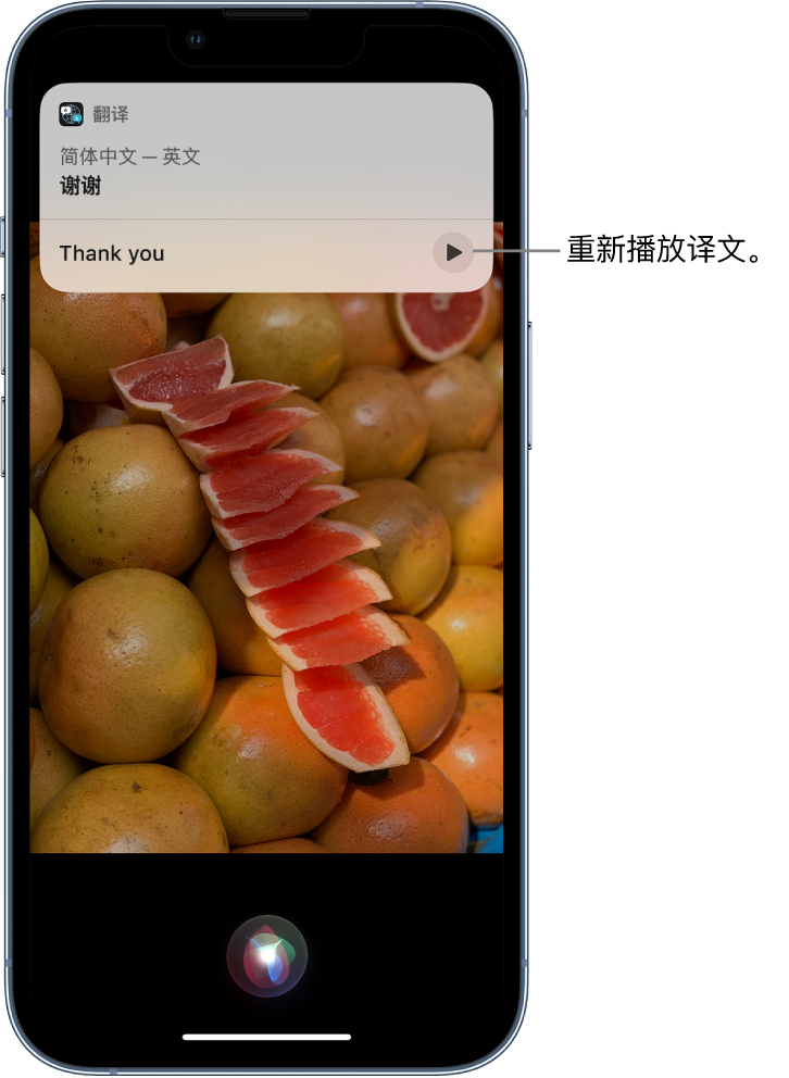 熊口管理区苹果14维修分享 iPhone 14 机型中使用 Siri：了解 Siri 能帮你做什么 