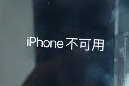 熊口管理区苹果服务网点分享锁屏界面显示“iPhone 不可用”如何解决 