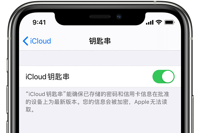 熊口管理区苹果手机维修分享在 iPhone 上开启 iCloud 钥匙串之后会储存哪些信息 